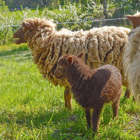 Agriturismo Vezzano Chiusi della Verna Eksteriør bilde