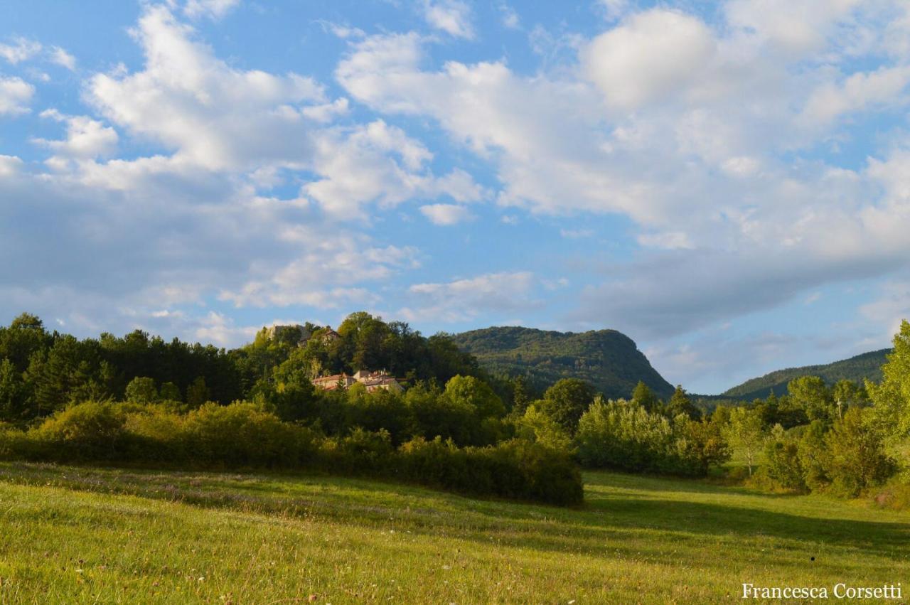 Agriturismo Vezzano Chiusi della Verna Eksteriør bilde