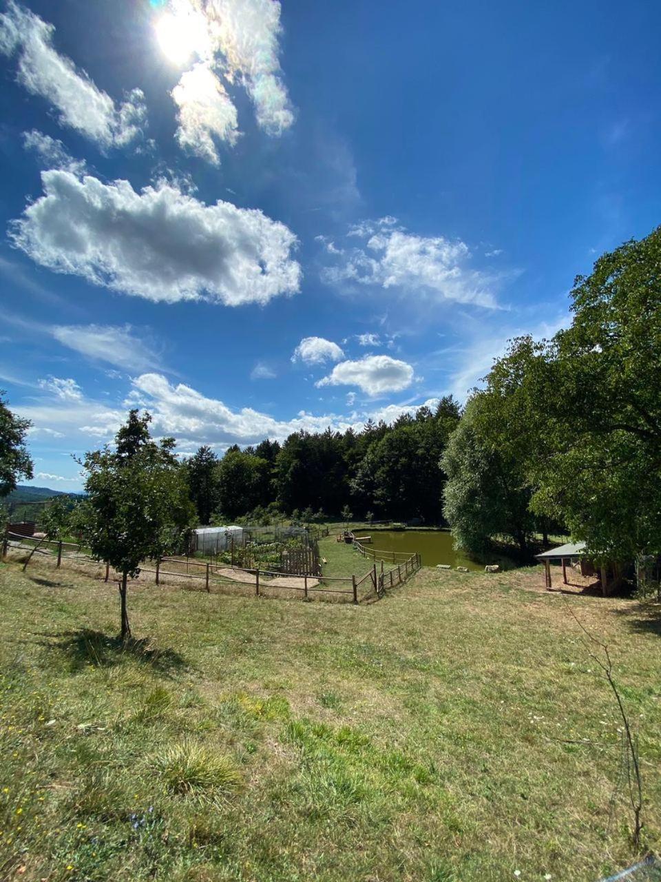 Agriturismo Vezzano Chiusi della Verna Eksteriør bilde