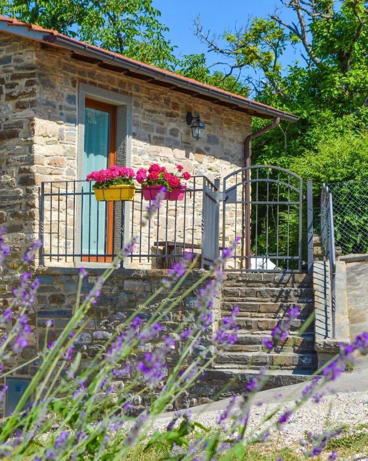 Agriturismo Vezzano Chiusi della Verna Eksteriør bilde