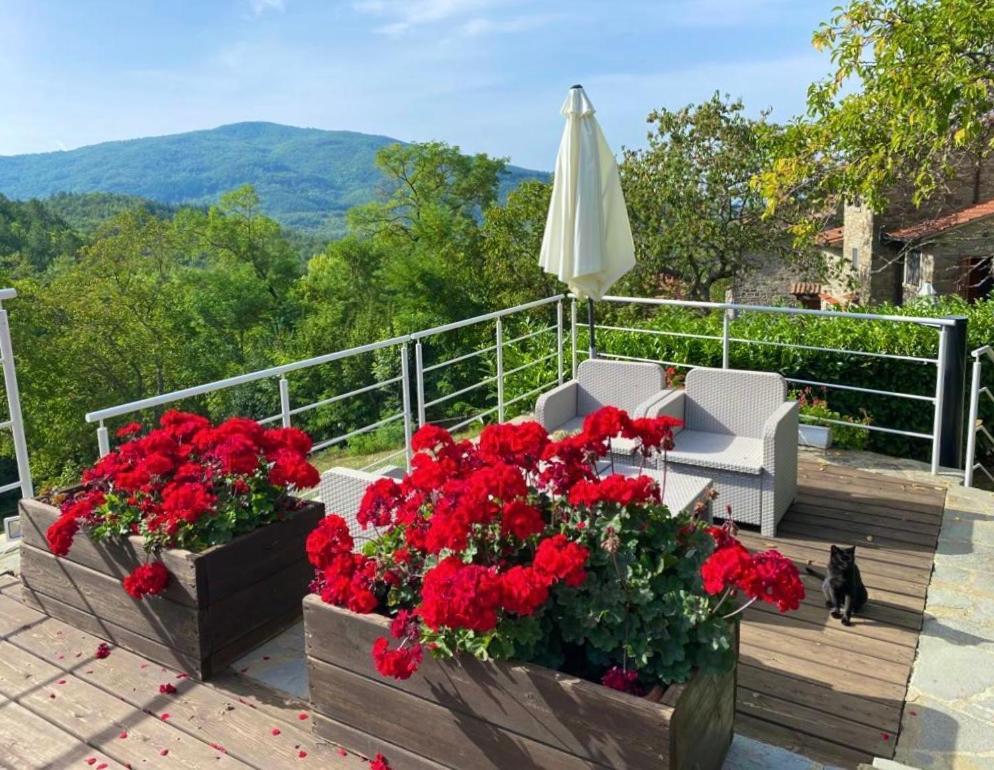 Agriturismo Vezzano Chiusi della Verna Eksteriør bilde